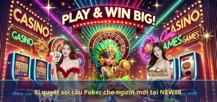 Bí quyết soi cầu Poker cho người mới tại NEW88