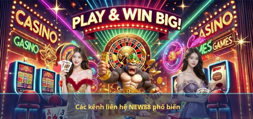 Các kênh liên hệ NEW88 phổ biến